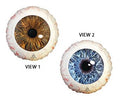 Halloween eyeball balloon product image showing View 1 with a brown iris and View 2 with a blue iris